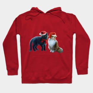 Two Cats in Santa Hats Hoodie